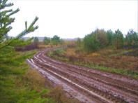 Дорога, на Т. Скоро превратится в вязкую массу из снега и глины